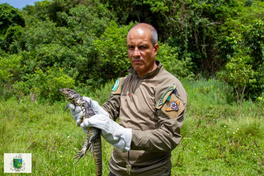 Guarda Ambiental de Saquarema resgatando animais