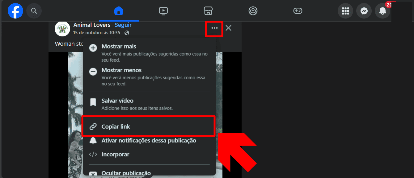 Copiar link de vídeo no Facebook no computador