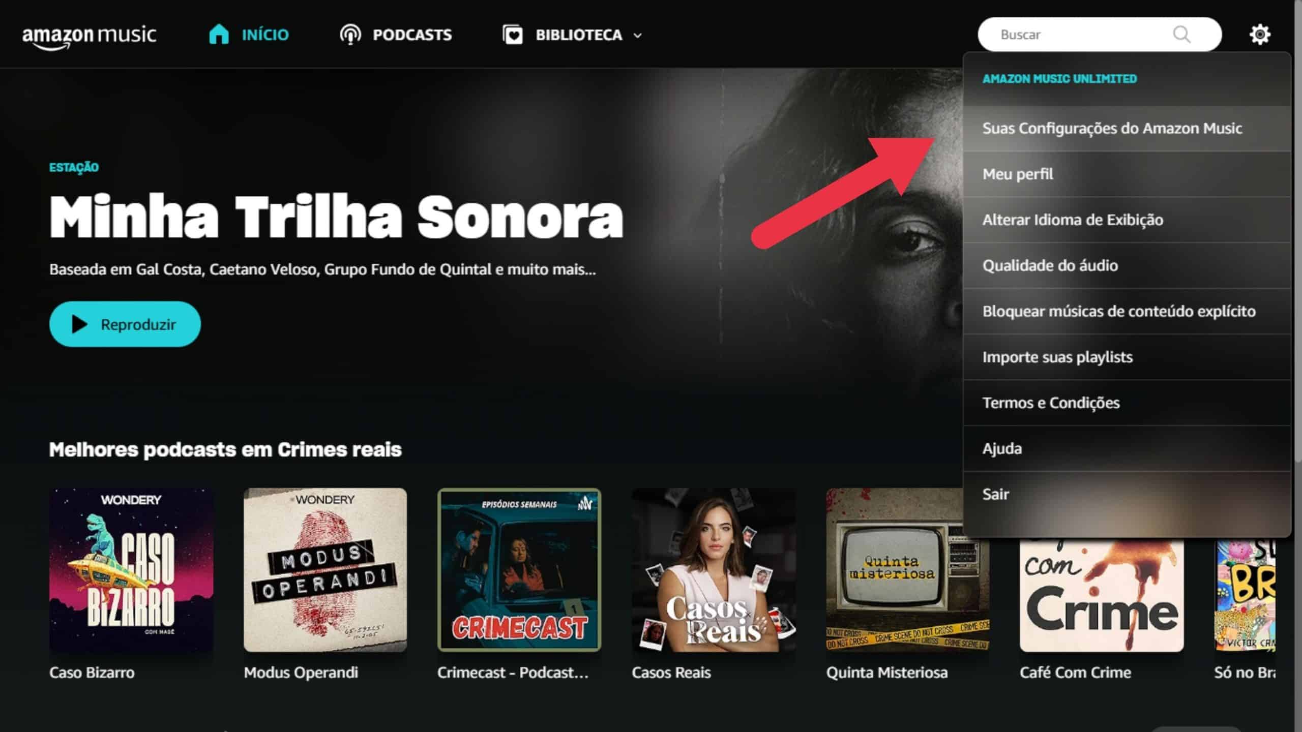 Acesse as configurações da conta do Amazon Music Unlimited