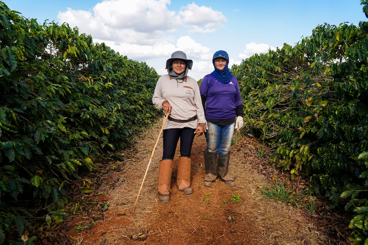 Agricultura regenerativa