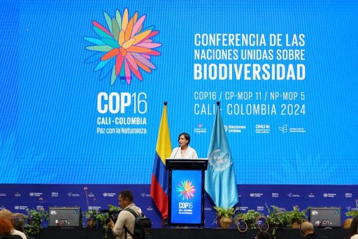 COP 16 Biodiversidade Colômbia