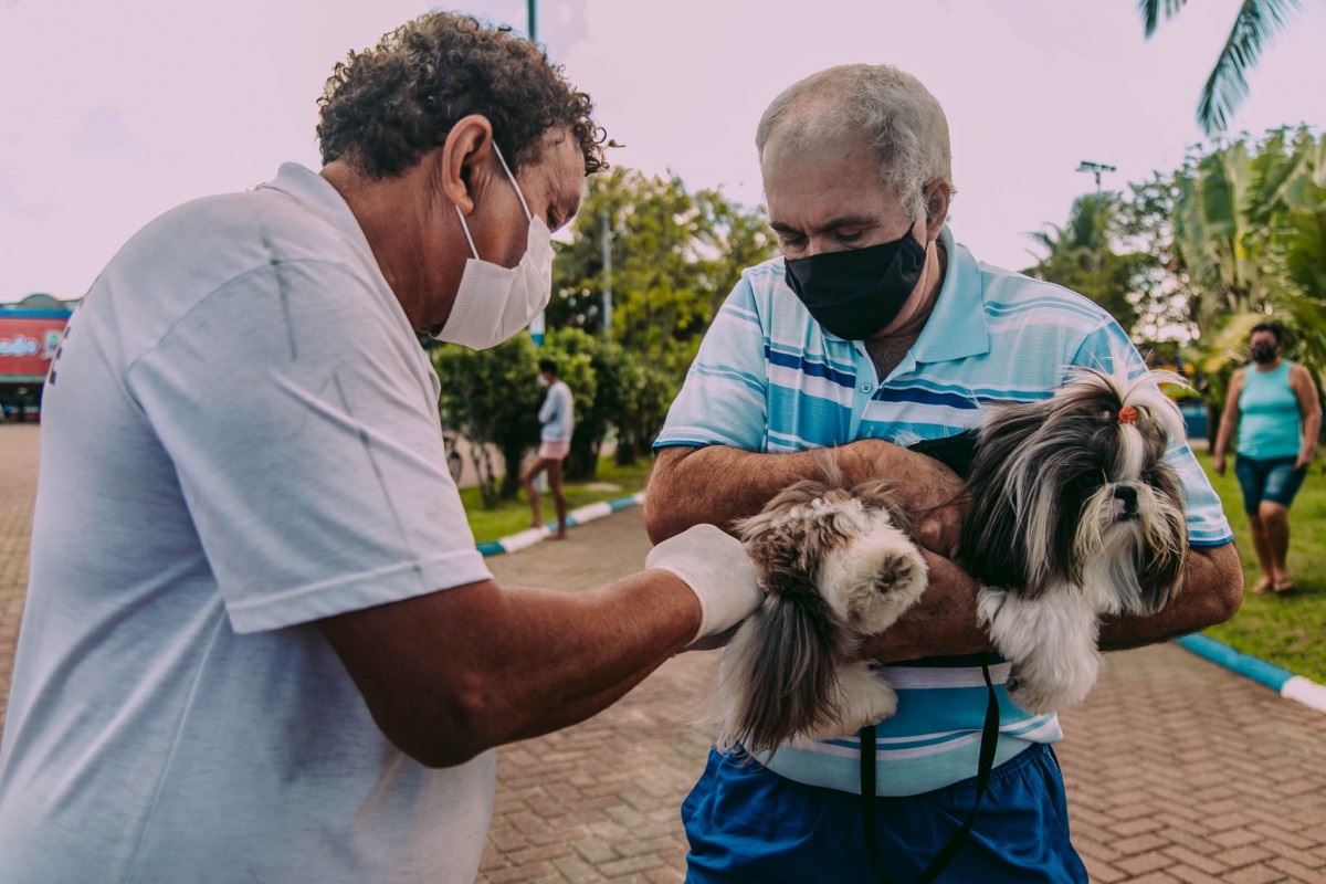 Cabo Frio realiza terceira etapa da Campanha Antirrábica 2024