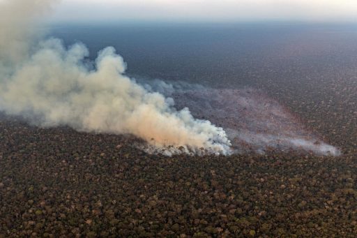 Queimadas Amazônia