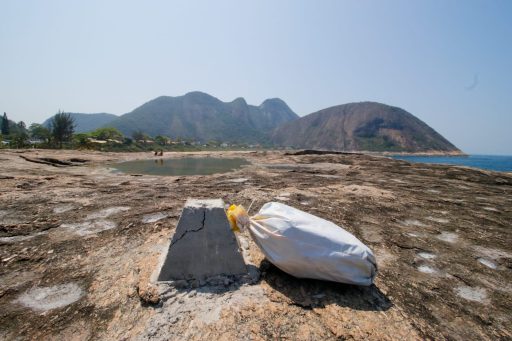 Conheça a Itacoboia, novidade de resgate em praia de Niterói | Enfoco