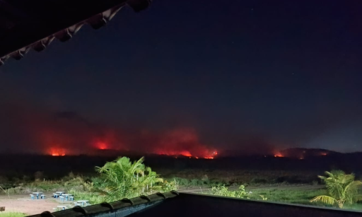 Incêndio atinge área de vegetação em Itaipuaçu, Maricá | Enfoco