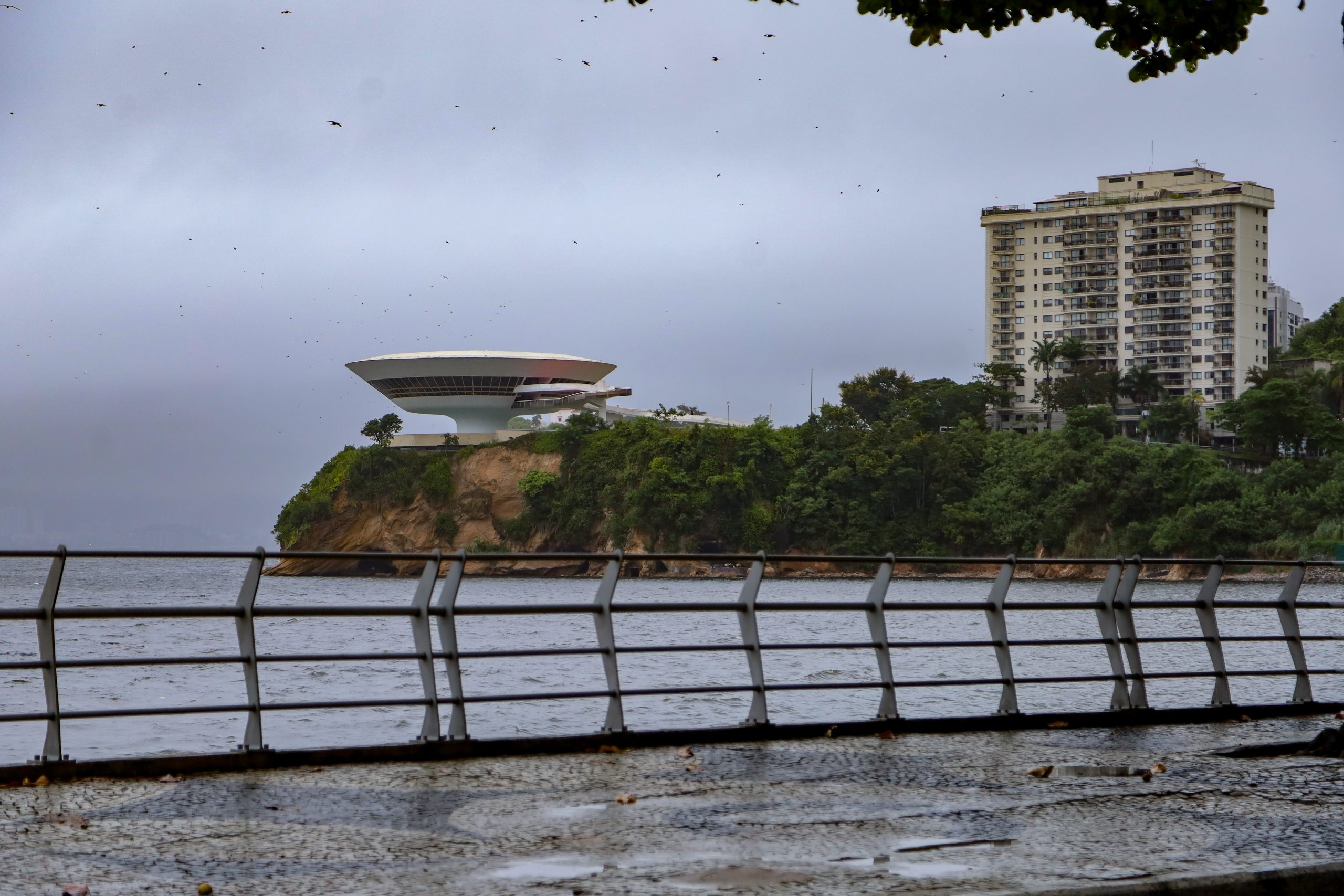 Temporal em Niterói: prefeitura dá orientação sobre chuva a caminho | Enfoco