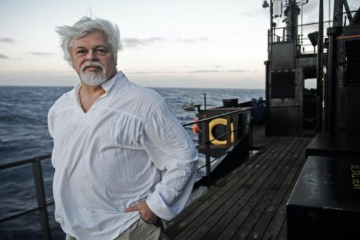 Paul Watson conservação