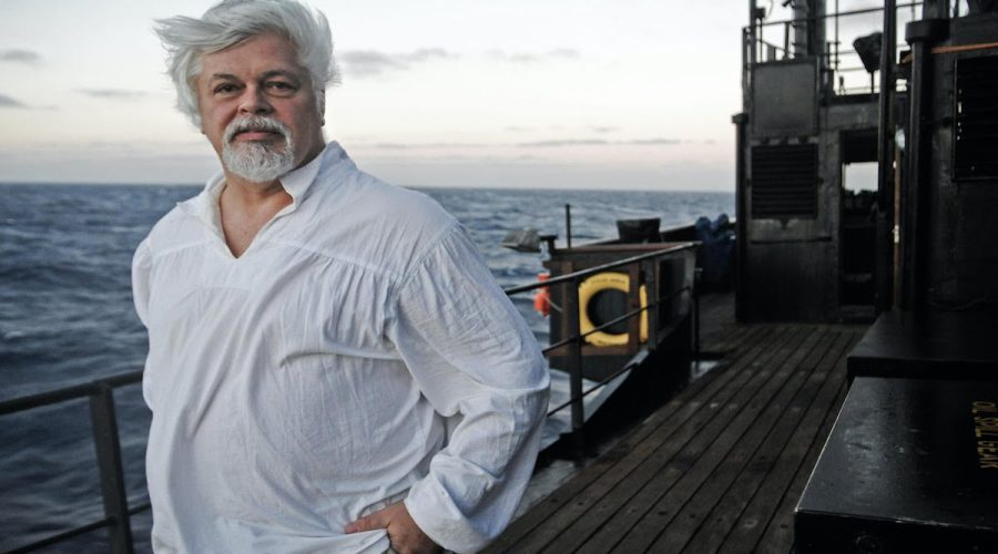 Detido na Groenlândia, Paul Watson recebe prêmio de preservação ambiental