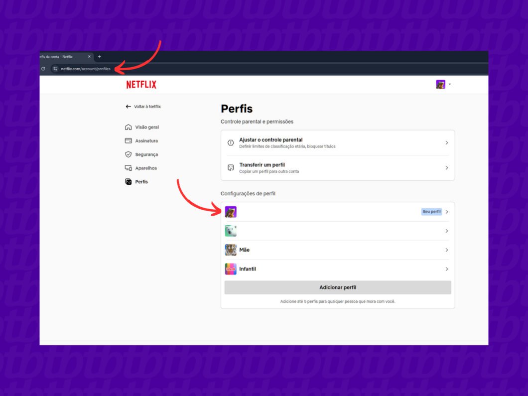 Acessando o perfil principal da conta da Netflix pelo PC