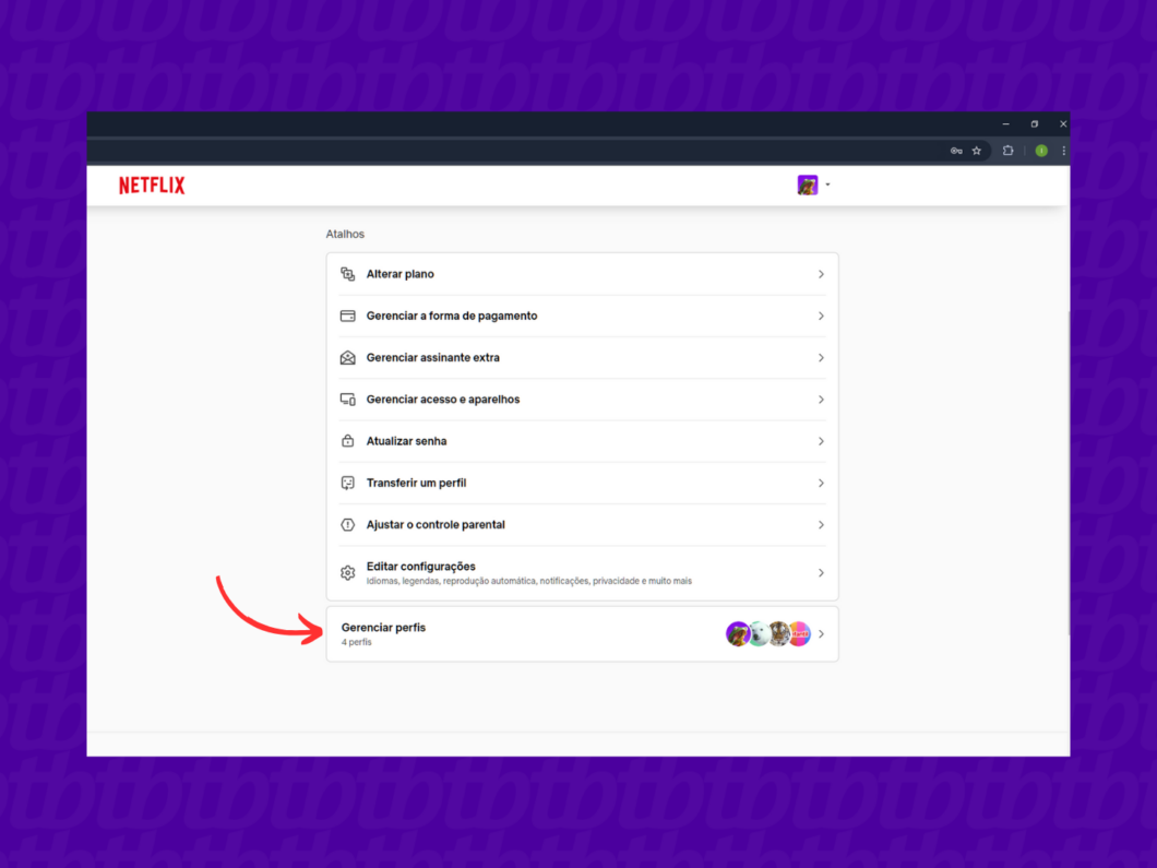 Gerenciando o perfil da Netflix pelo PC