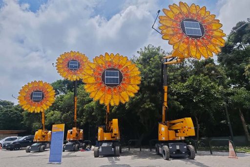 girassois painel solar virada sustentavel sp 2024