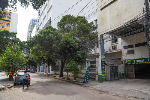 Árvores sem manutenção podem ser vistas em diversos bairros de Niterói