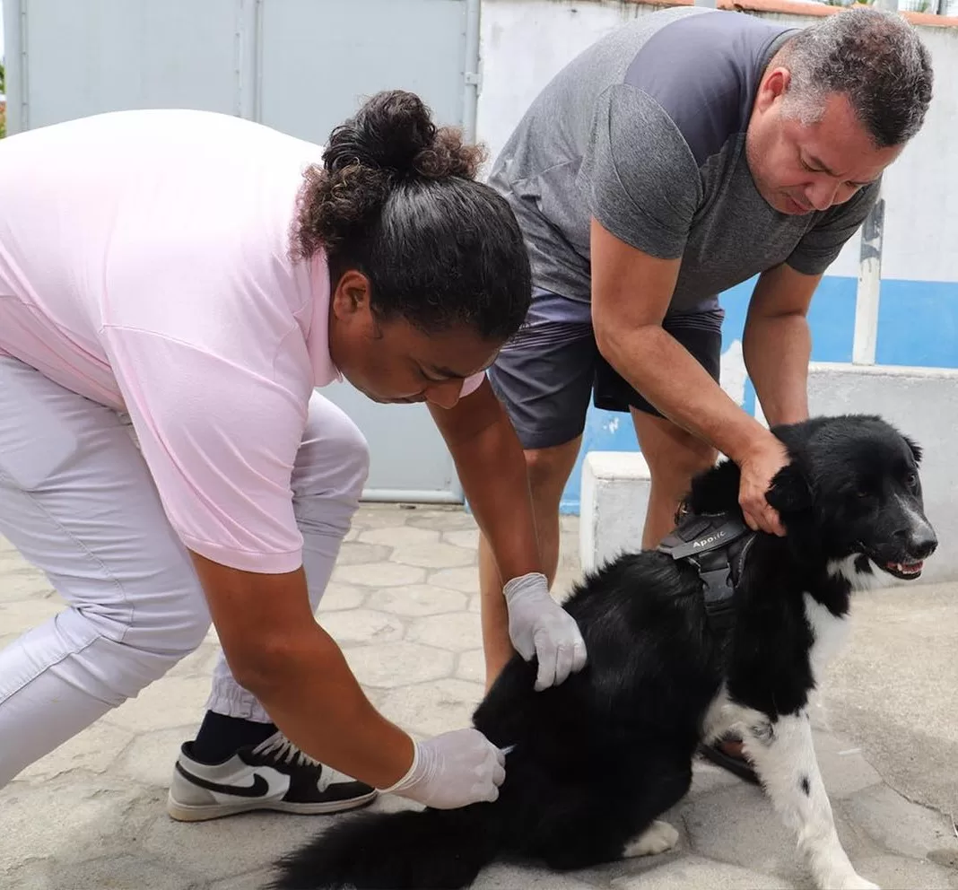 Rio das Ostras realiza Campanha de Vacinação Antirrábica Animal — RC24H