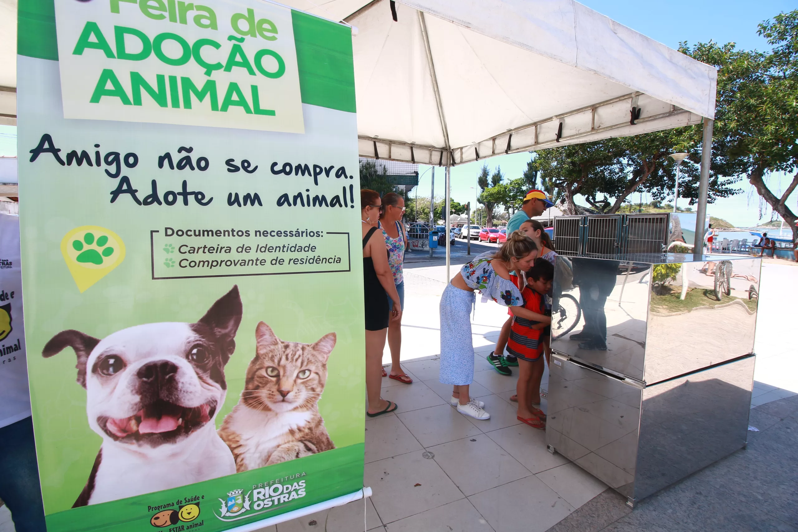 Rio das Ostras promove Bazar de Natal e Campanha de Adoção de Animais — RC24H