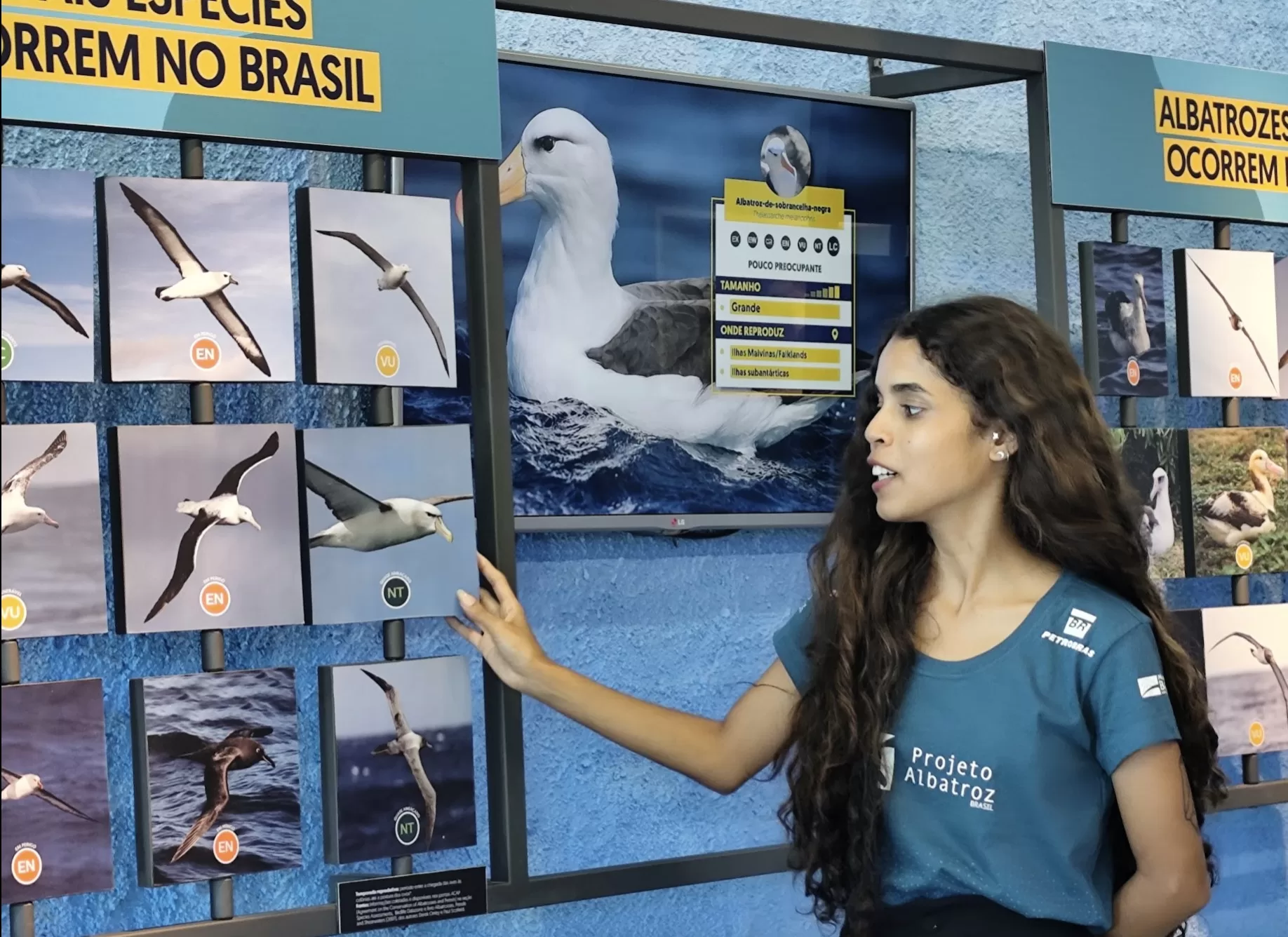 Centro de Visitação do Projeto Albatroz em Cabo Frio terá catraca livre no feriado da Proclamação da República (15) — RC24H