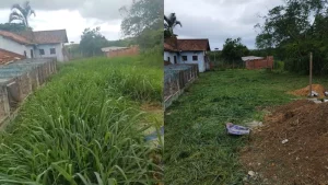 Protetoras denunciam suposto abandono no Canil Municipal de Cabo Frio — RC24H