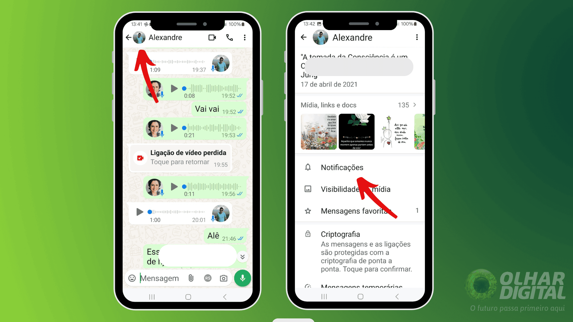 Captura de tela do processo de silenciar contato no WhatsApp