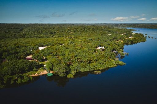 Programação Dia da Amazônia