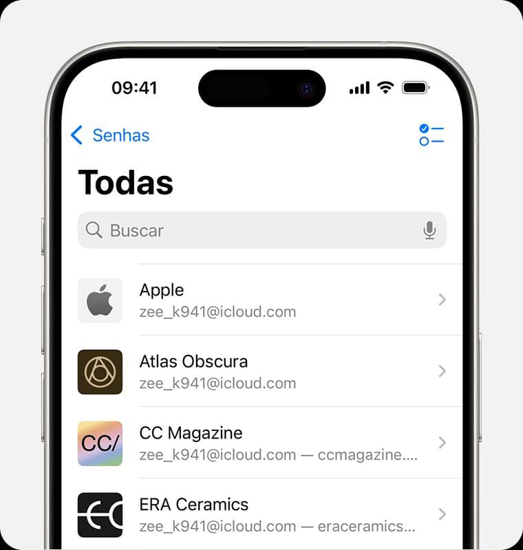 Acesso ao aplicativo Senhas da Apple