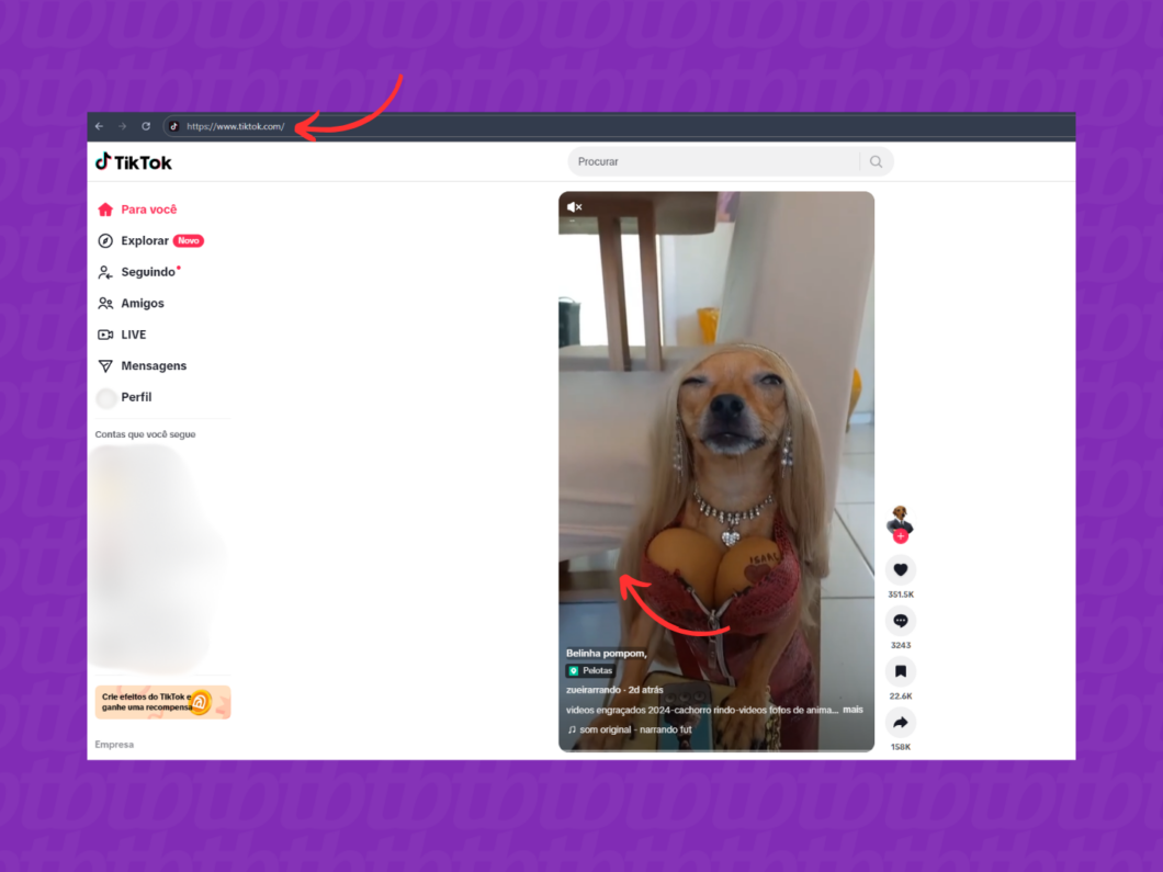 Acessando o TikTok pelo computador