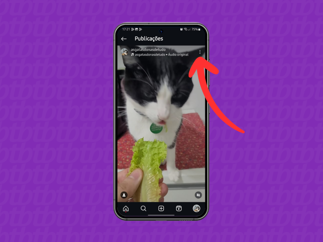 Captura de tela do Instagram mostrando como abrir o menu de opções