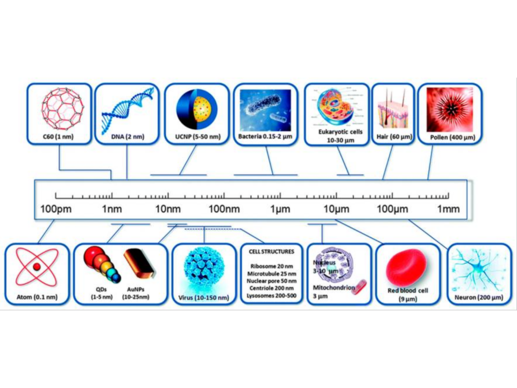 Comparação de tamanho de nanomateriais