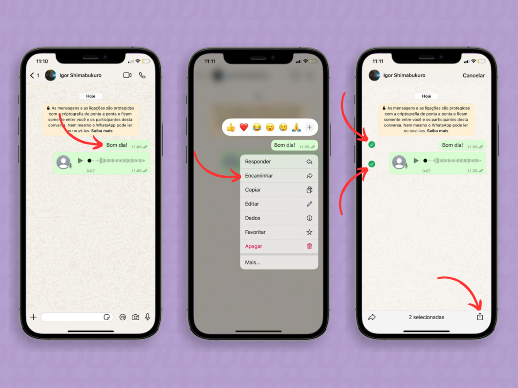 Encaminhando mensagens do WhatsApp via compartilhamento do iOS