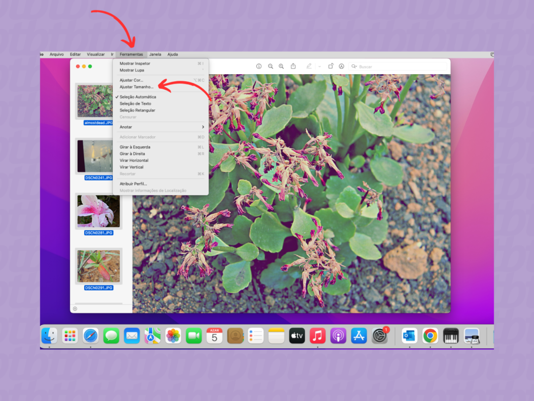 Entrando na opção 'Ajustar Tamanho' do macOS