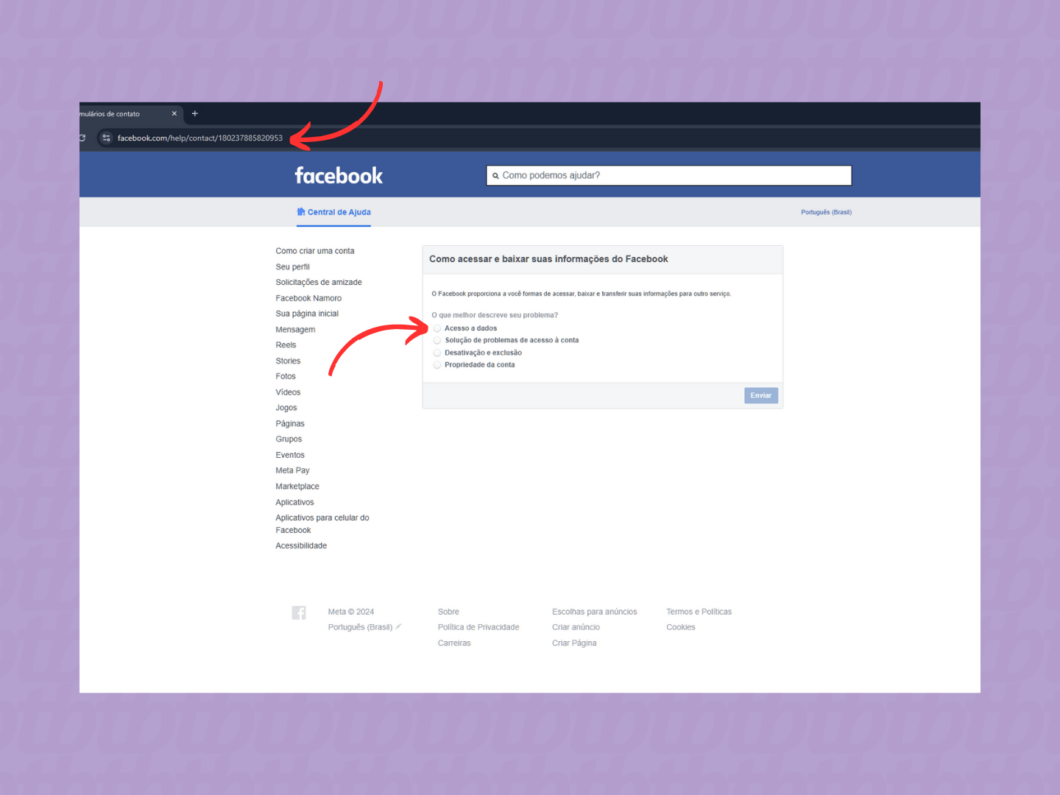 Preenchendo o formulário para download de dados do Facebook