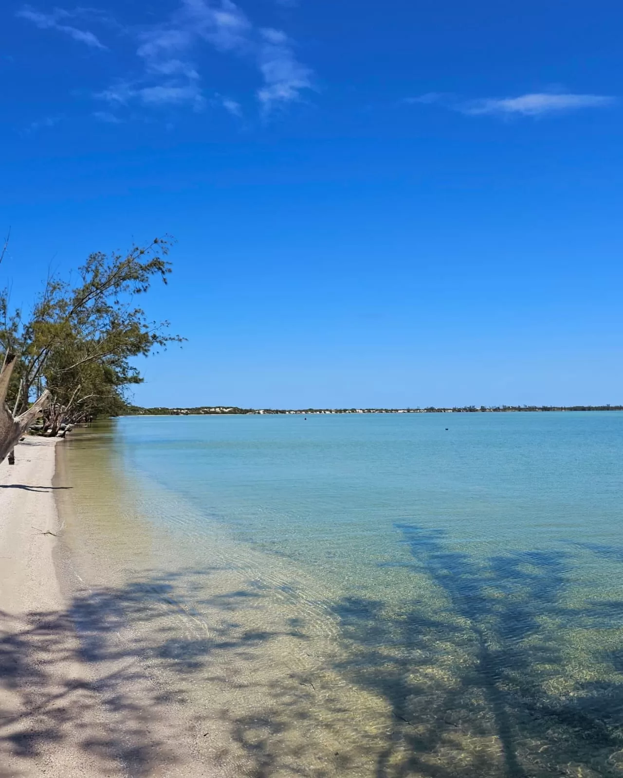 Lagoa do Caiçara, em Arraial do Cabo, recebe, pela primeira vez, o selo Bandeira Azul — RC24H