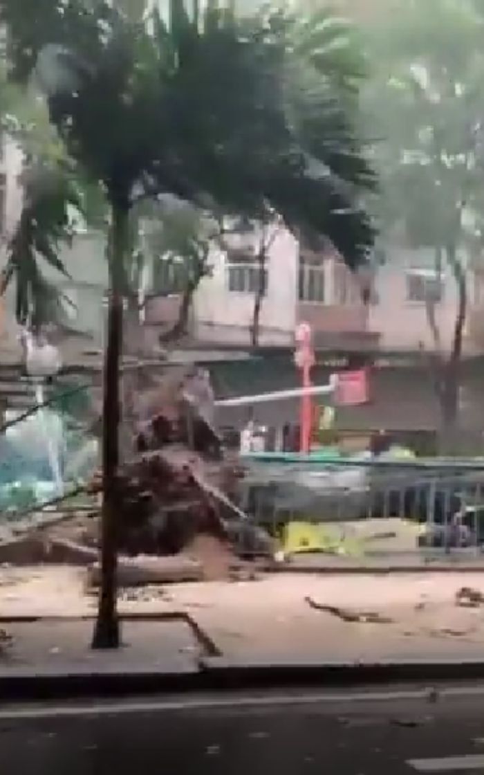 Árvore cai e praça fica destruída na Zona Sul do Rio; vídeo | Enfoco