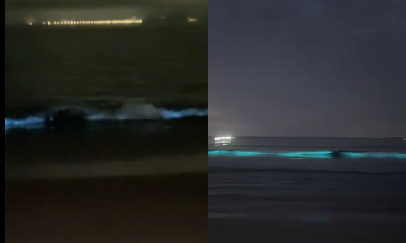 Fenômeno ilumina praias de Niterói e Região dos Lagos; vídeo | Enfoco