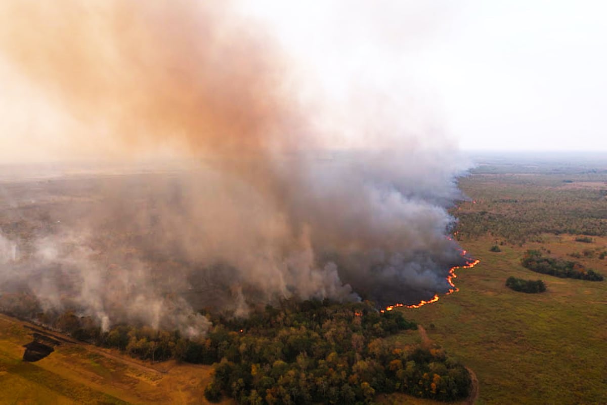 Fogo Pantanal