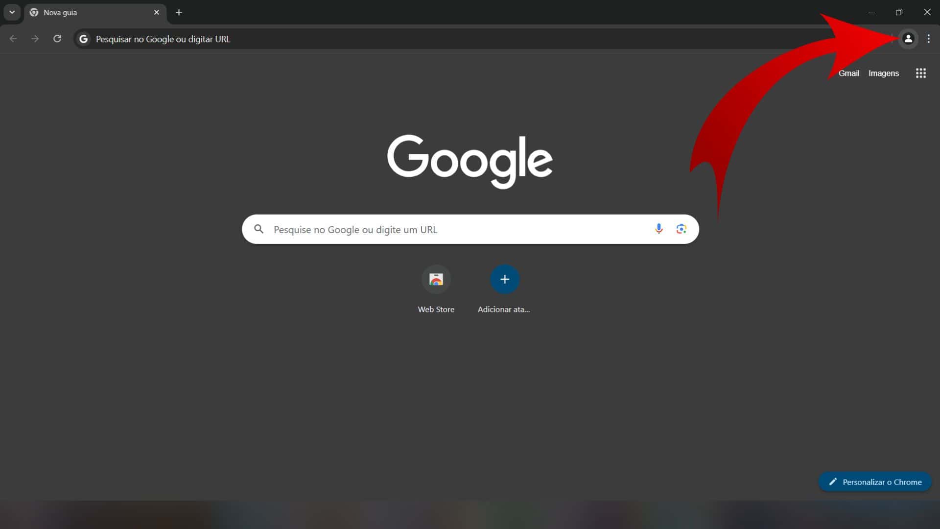 Interface do Google Chrome mostrando a criação de perfis