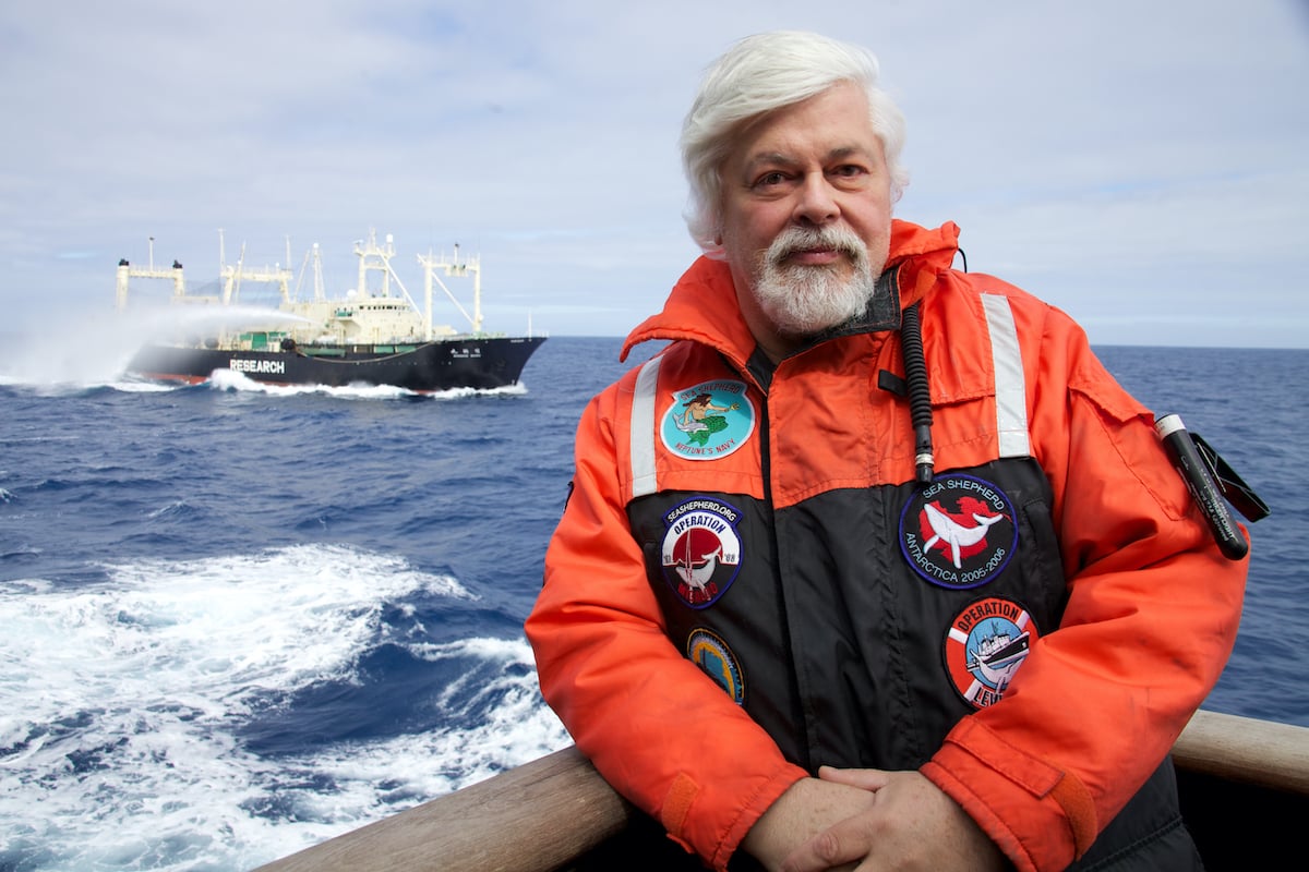 Paul Watson