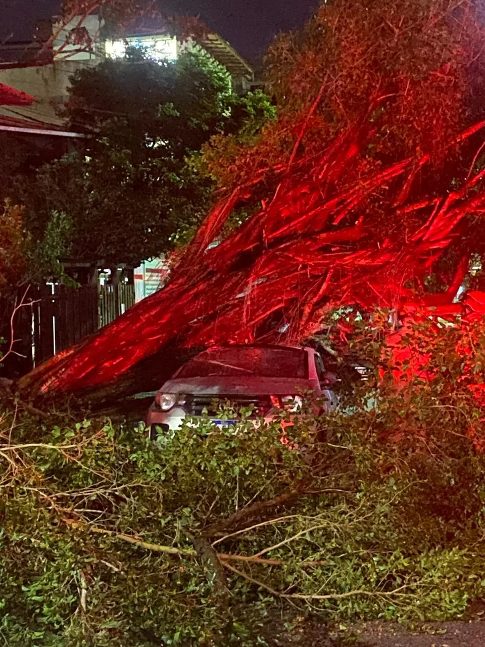 Cidades da Região dos Lagos sofrem com impactos provocados por tempestade de granizo — RC24H