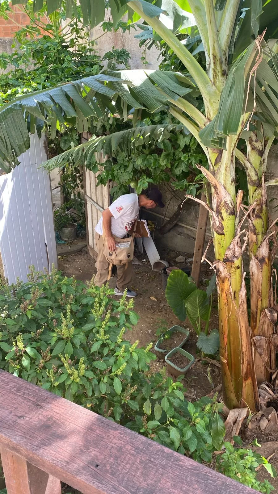 Arraial do Cabo promove ações para combater a dengue, zika e chikungunya — RC24H