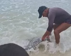 Pescador devolve arraia ao mar e emociona banhistas em Arraial do Cabo — RC24H