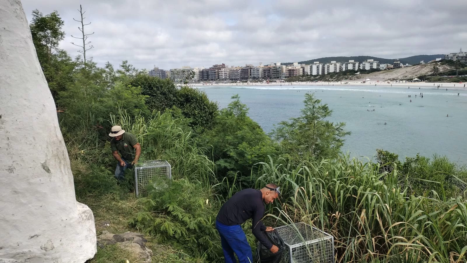 Forte São Mateus, em Cabo Frio, passa por ação conjunta de conservação ambiental — RC24H