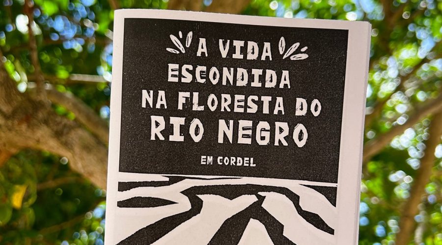 Ciência em versos: autora torna textos acadêmicos mais acessíveis