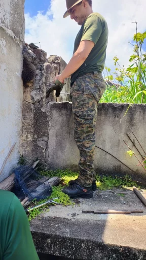 Ouriço-cacheiro é resgatado em Saquarema após ficar preso entre dois muros — RC24H