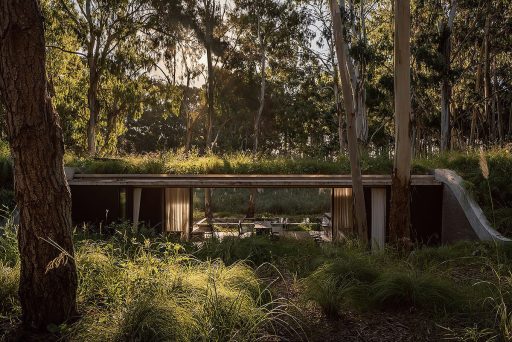 casa na floresta com teto verde