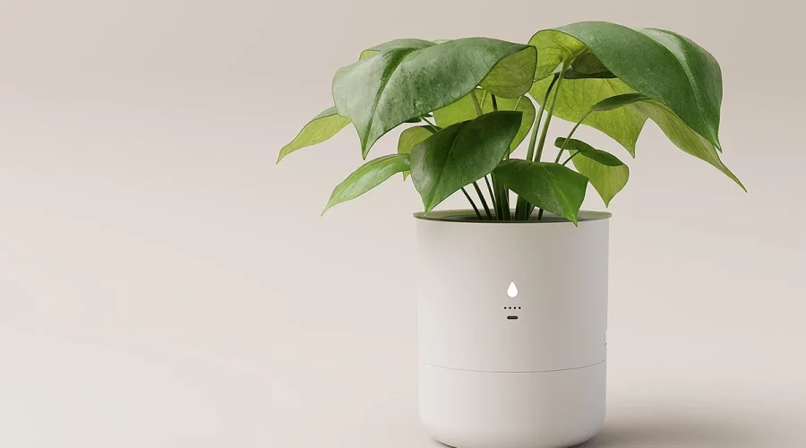 Vaso inteligente cuida das plantas com pouco esforço