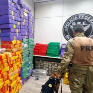 Mais de duas toneladas de maconha são apreendidas na Dutra | Enfoco