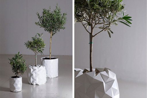 vaso origami cresce