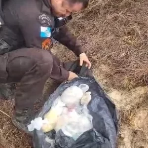 Polícia encontra saco com cocaína, crack, maconha e ecstasy enterrado em Búzios — RC24H