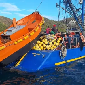 PF apreende 50 toneladas de corvina na Região dos Lagos | Enfoco