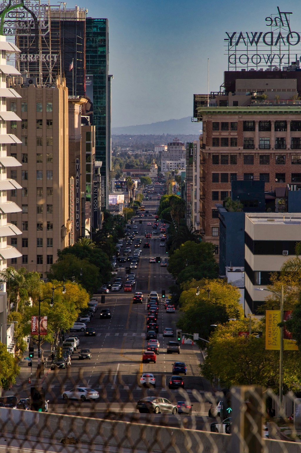 árvores Los Angeles