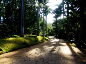 Parque Municipal de Rio das Ostras será reaberto neste sábado (15) — RC24H