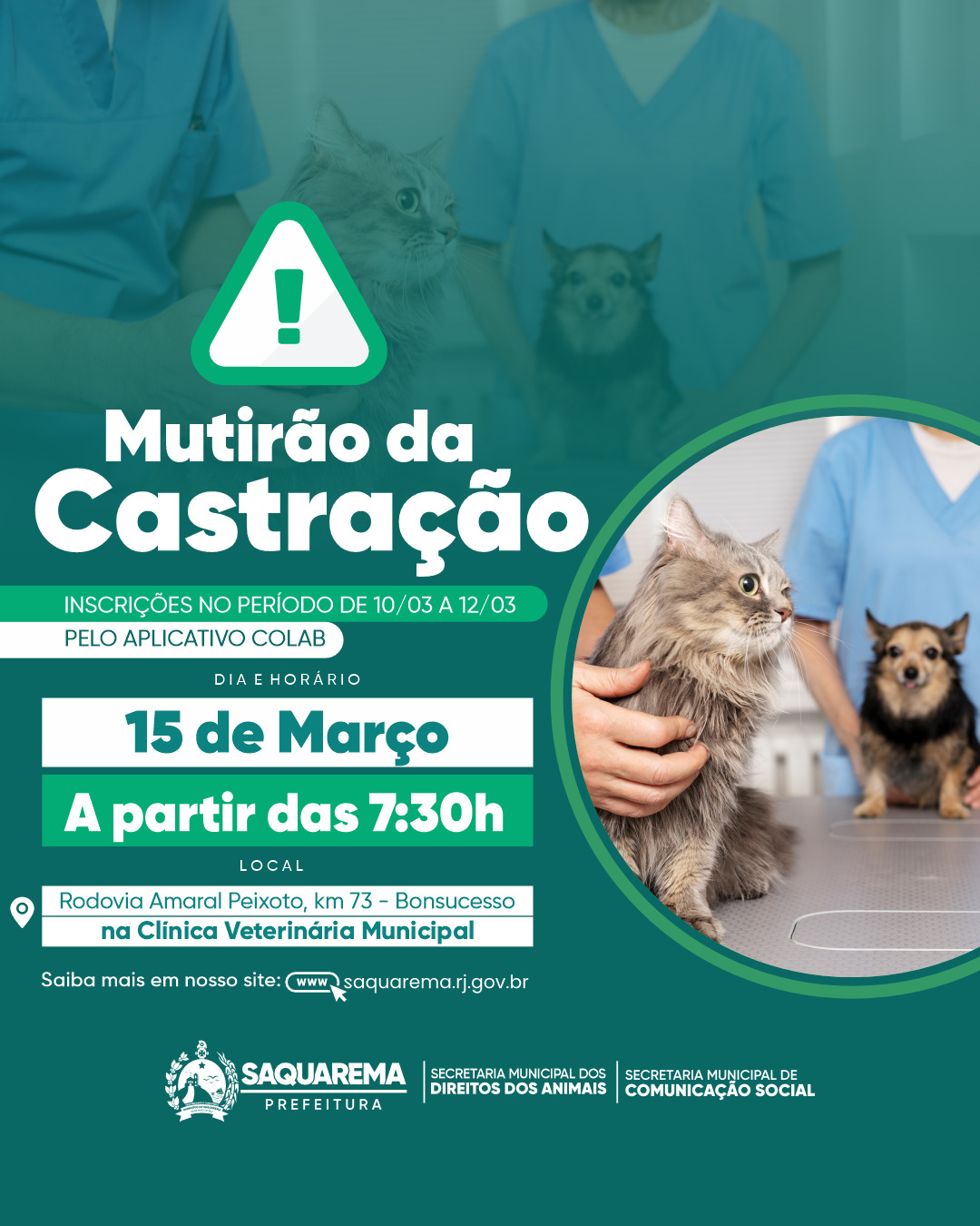 Prefeitura de Saquarema realizará mutirão de castração de cães e gatos no próximo sábado